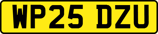 WP25DZU