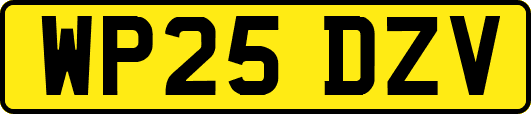 WP25DZV