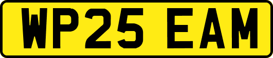 WP25EAM