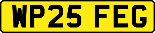 WP25FEG