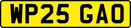 WP25GAO
