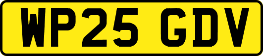 WP25GDV