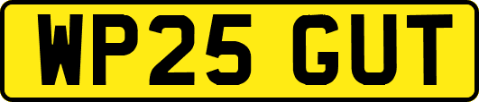 WP25GUT