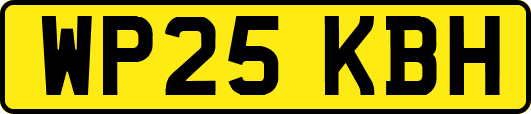 WP25KBH
