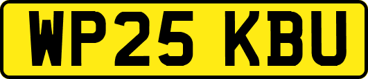 WP25KBU