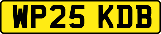 WP25KDB