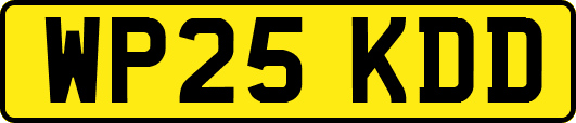 WP25KDD