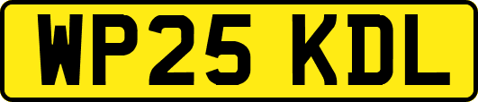 WP25KDL