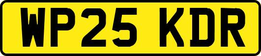 WP25KDR