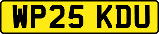 WP25KDU