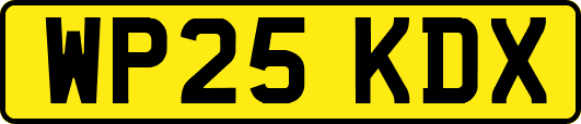 WP25KDX