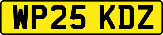 WP25KDZ