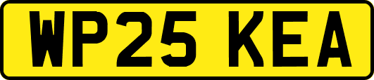 WP25KEA