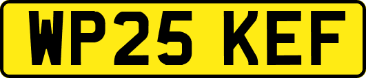WP25KEF