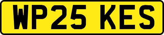 WP25KES