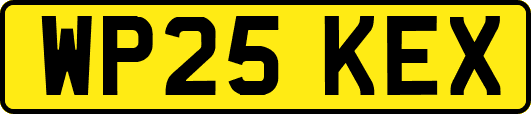 WP25KEX