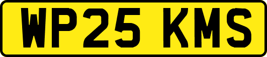 WP25KMS