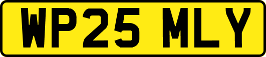 WP25MLY