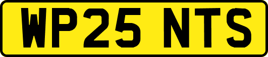 WP25NTS