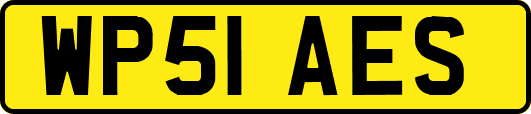 WP51AES