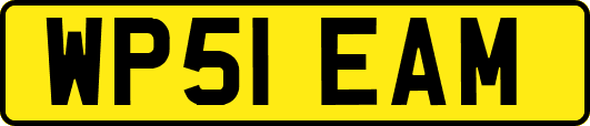 WP51EAM
