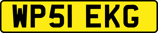 WP51EKG