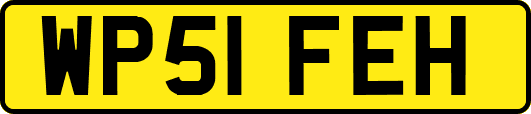 WP51FEH