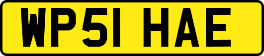 WP51HAE