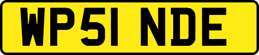 WP51NDE