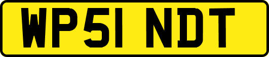 WP51NDT