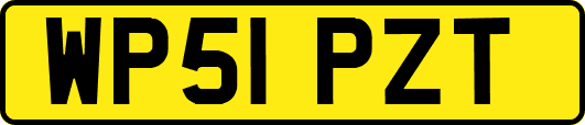 WP51PZT