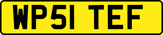WP51TEF