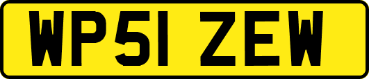 WP51ZEW