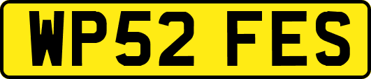 WP52FES