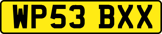 WP53BXX