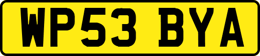 WP53BYA
