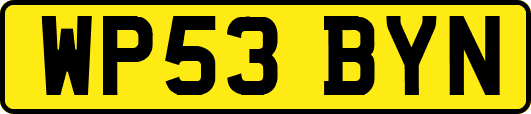 WP53BYN