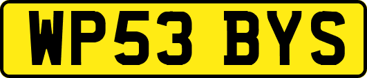 WP53BYS