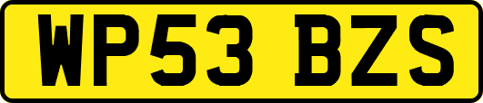 WP53BZS