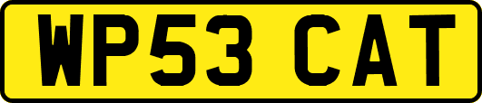 WP53CAT