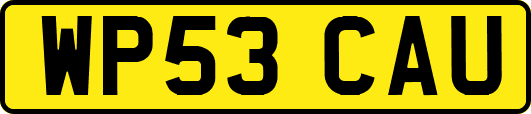 WP53CAU