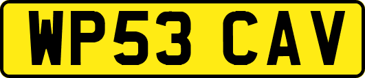 WP53CAV