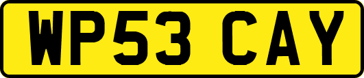 WP53CAY
