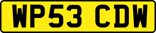 WP53CDW