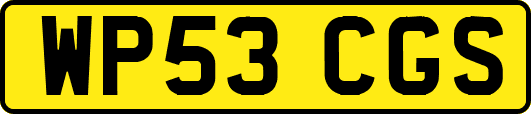 WP53CGS
