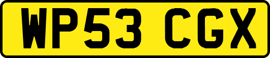 WP53CGX