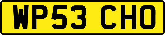 WP53CHO