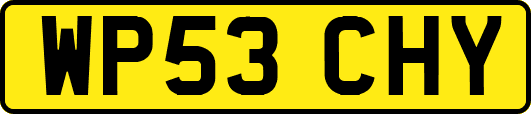 WP53CHY