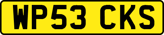 WP53CKS