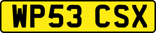 WP53CSX